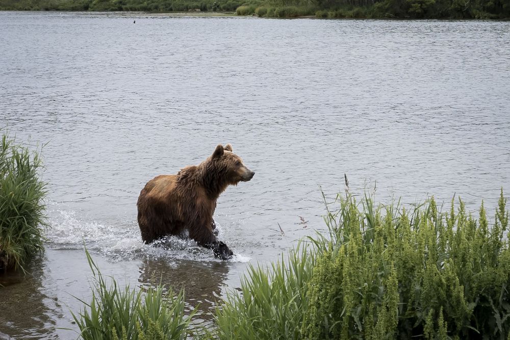 Photograph by Ирина Корнева