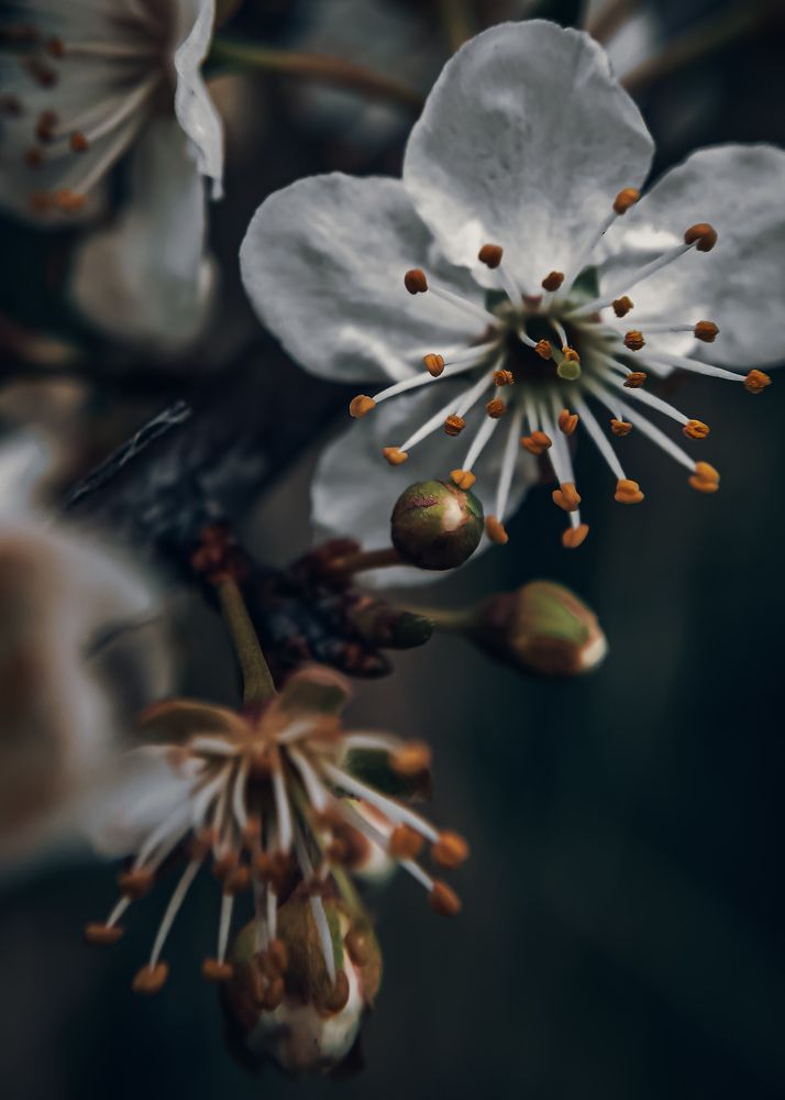 Photograph by Алексей Марченков