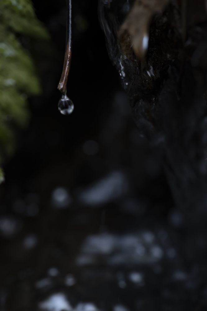 Photograph by Alexandre de Pommereau