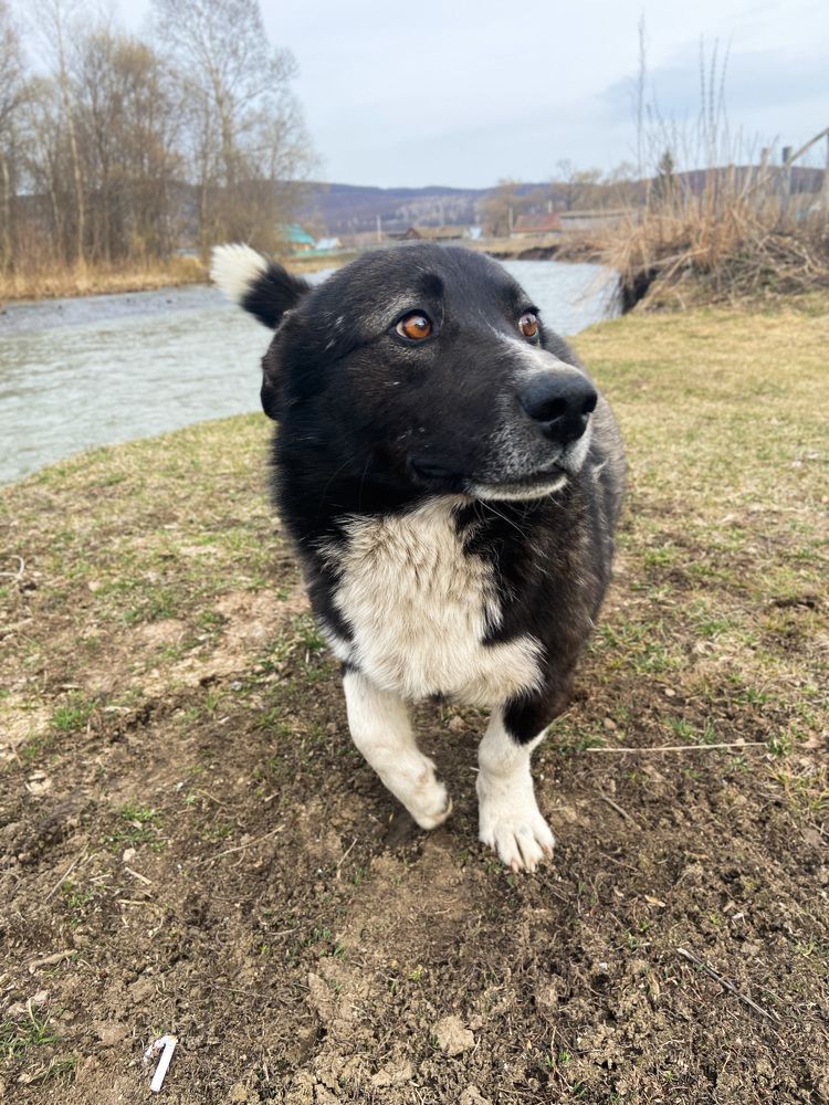 Фотография автора Илиза Майнурова