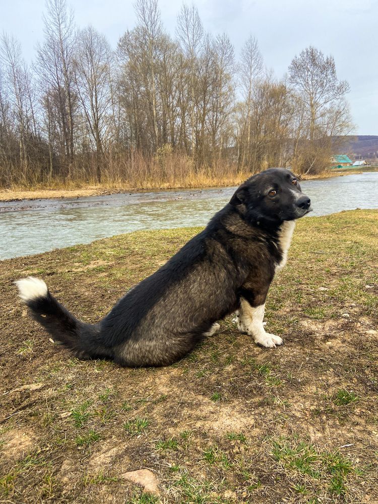 Фотография автора Илиза Майнурова