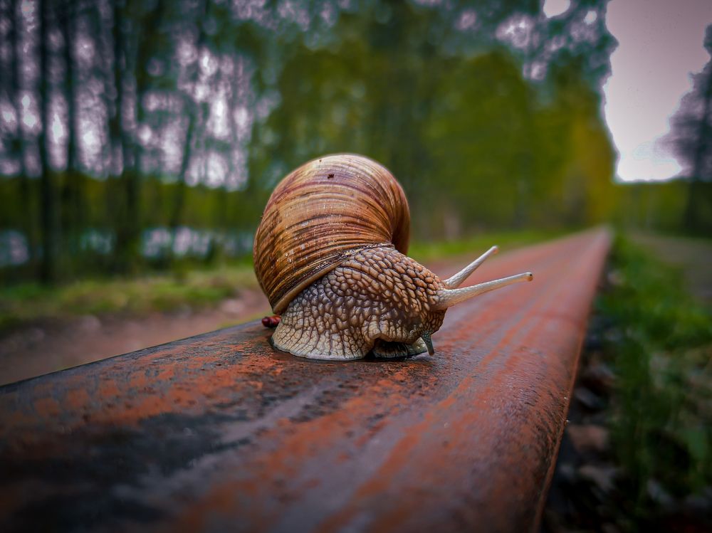 Фотография автора Александр Хухлов