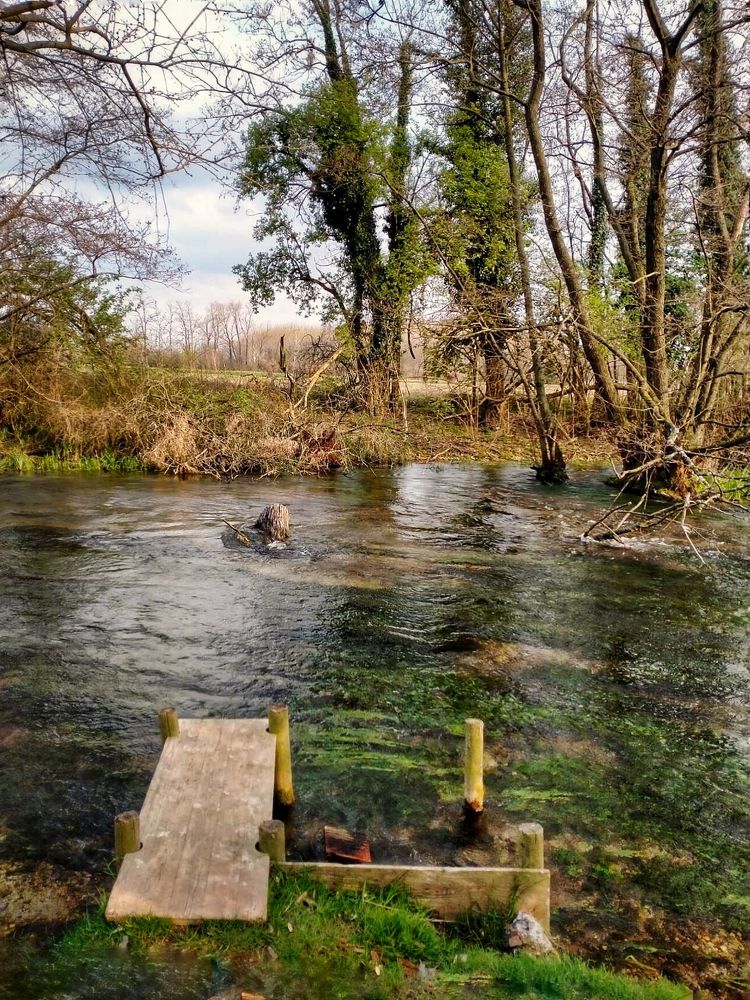 Photograph by Елена Егорова