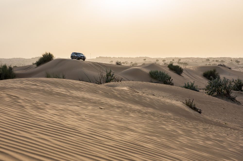 Photograph by Евгений Моляшов