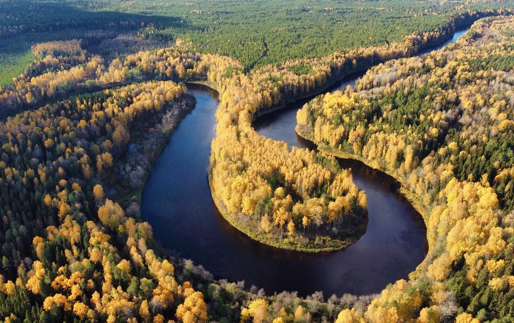 Photograph by Максим Григорьев