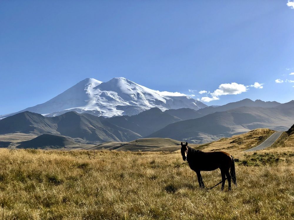 Photograph by Максим Григорьев