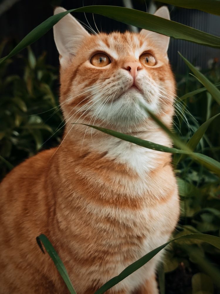 Photograph by Татьяна Долгушева