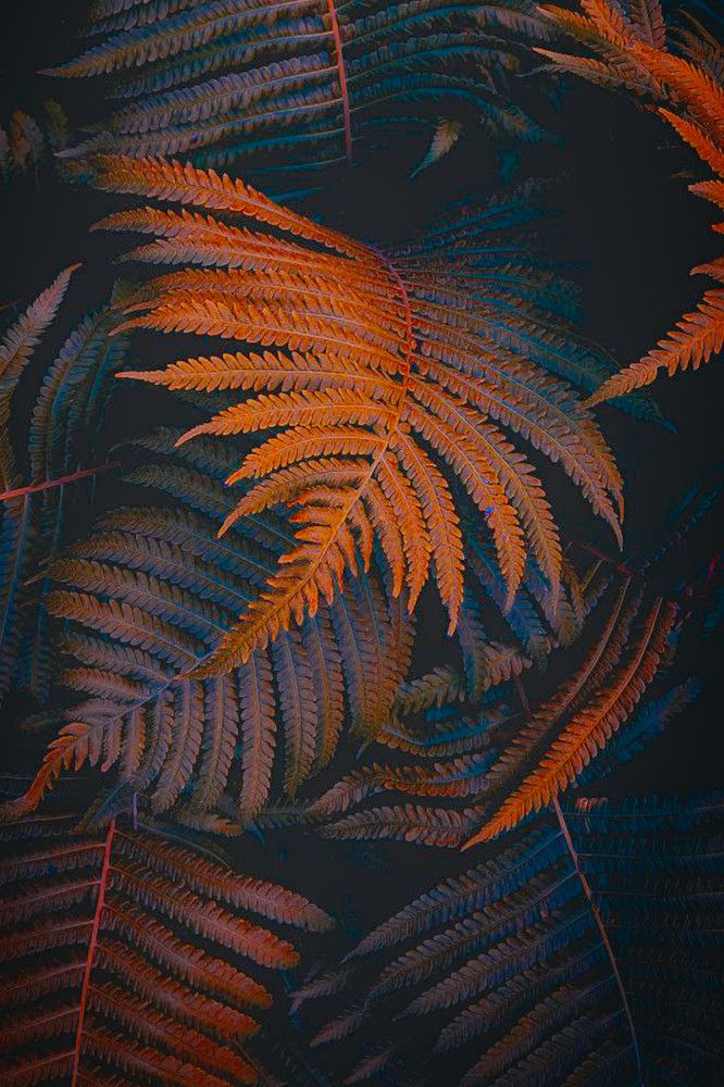 Photograph by Дарья Макаревич