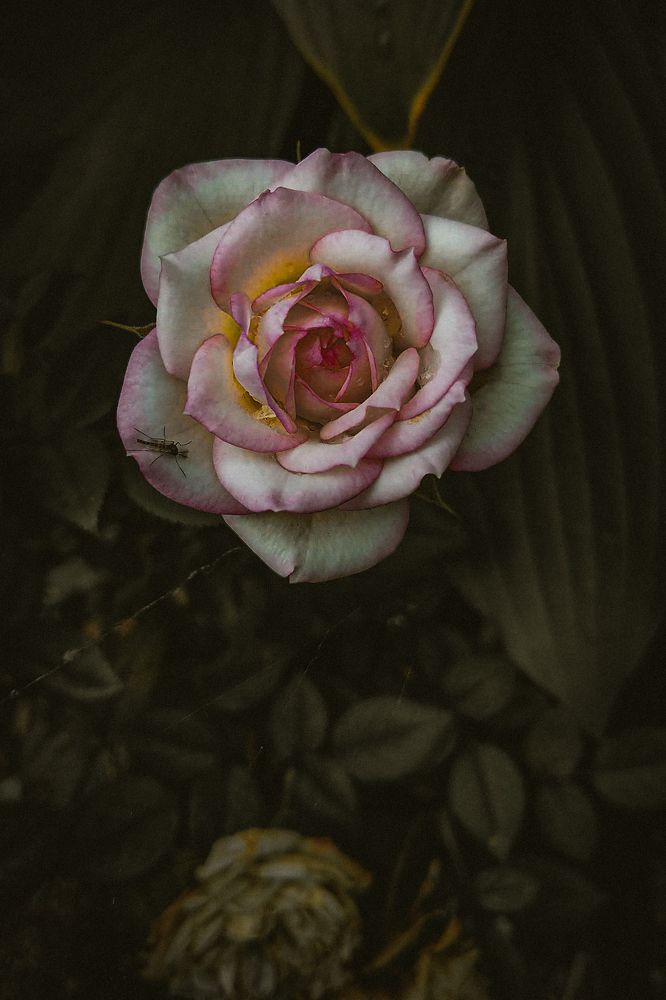 Фотография автора Дарья Макаревич