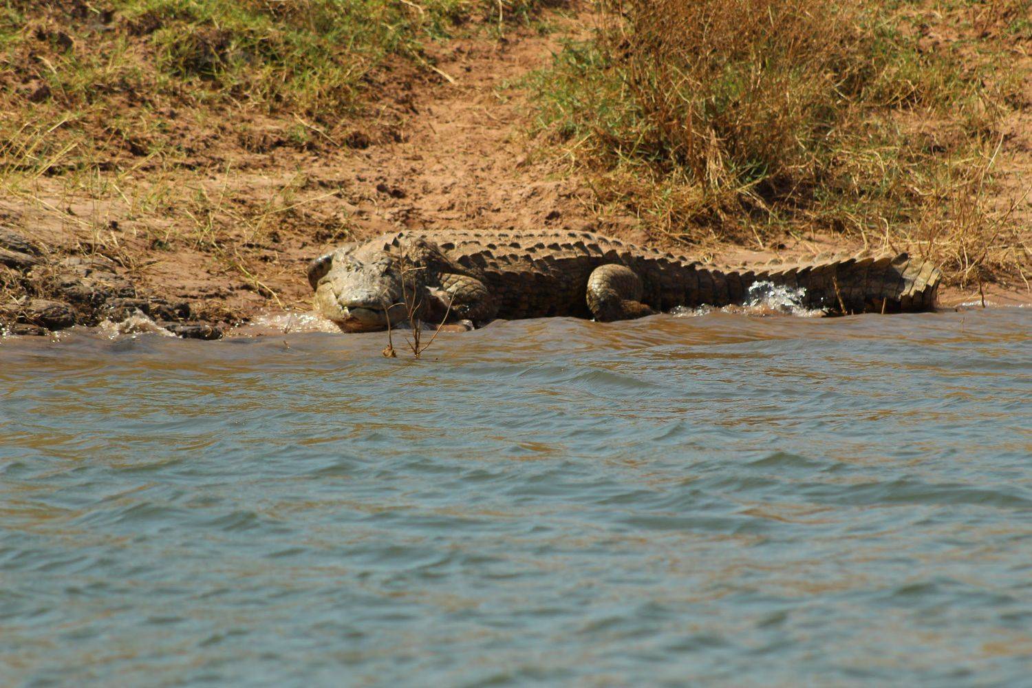 Photo #9102060