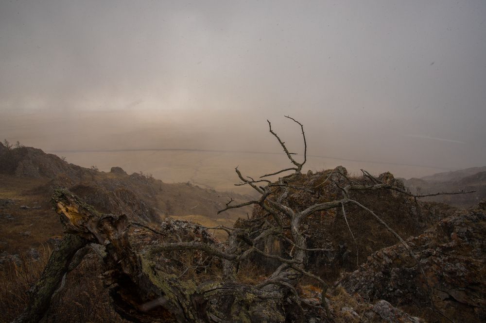 Photograph by Константин Искучеков