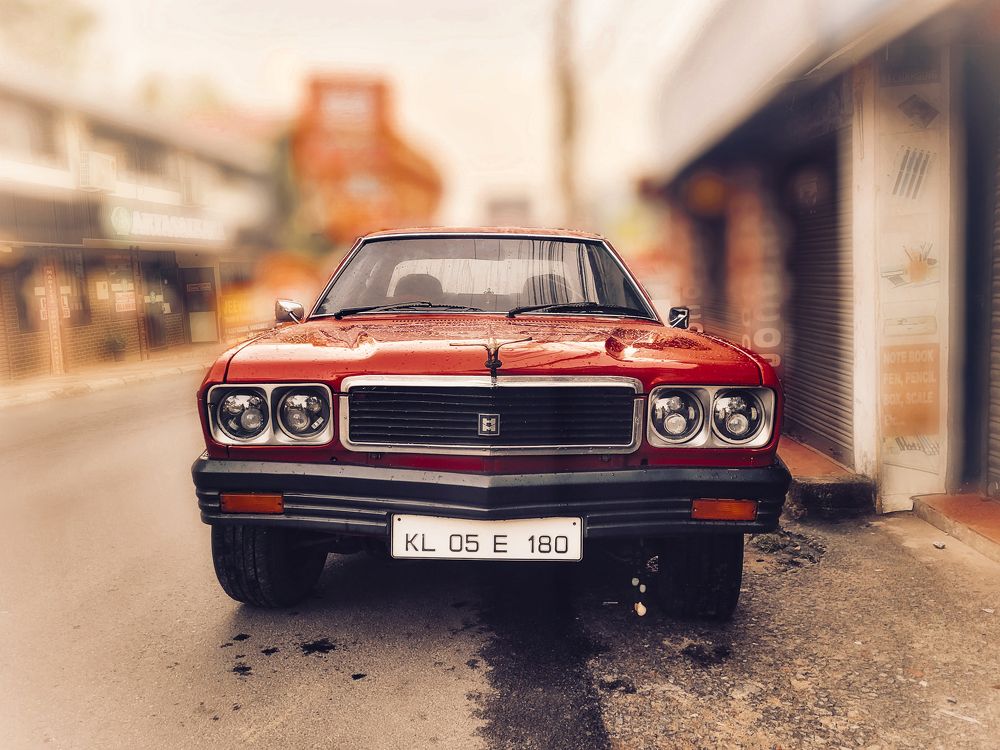 Photograph by Ashiq P F Mohammed