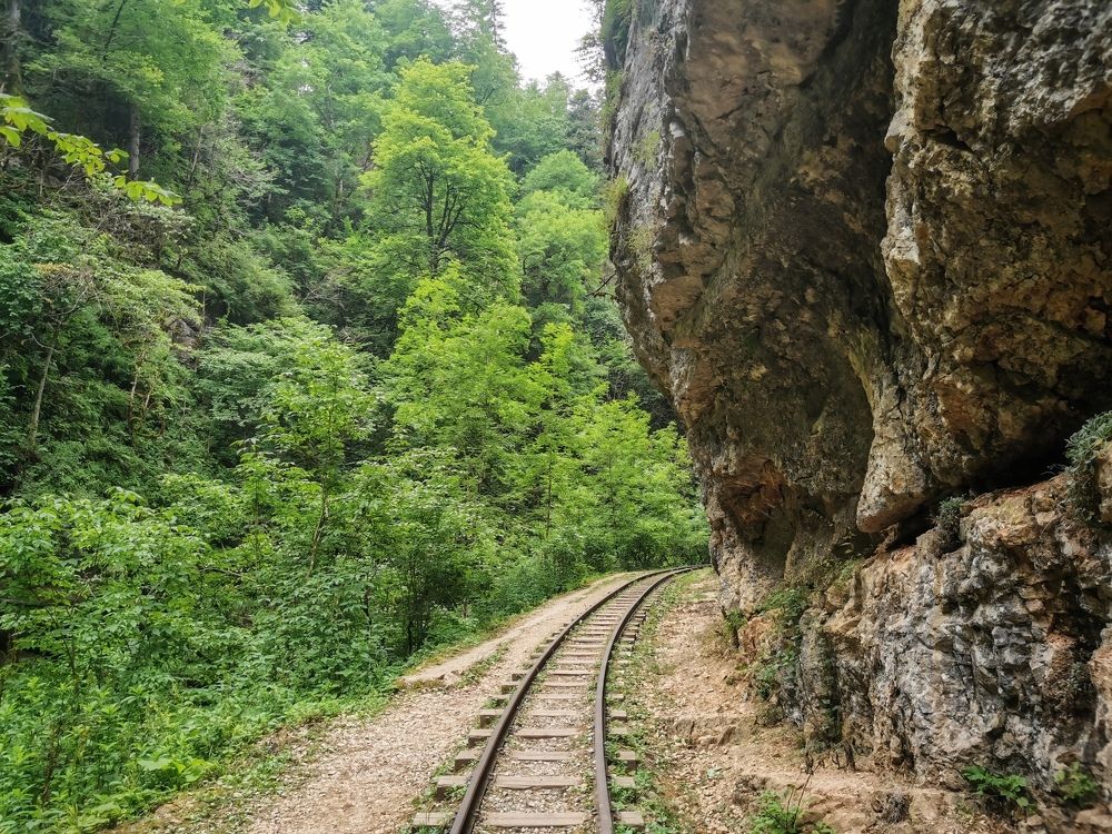 Photograph by ИГОРЬ