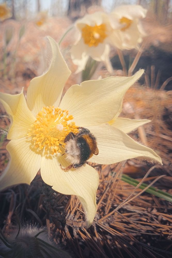 Photograph by Илья Толстоноженко