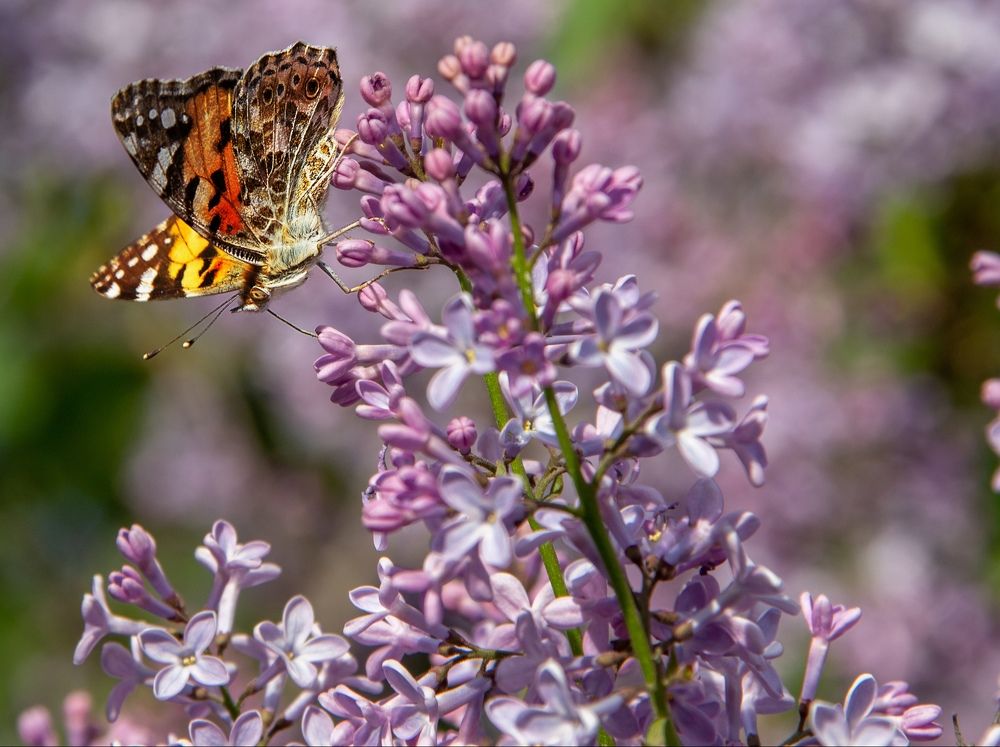 Photograph by Nastya Perekhodkina