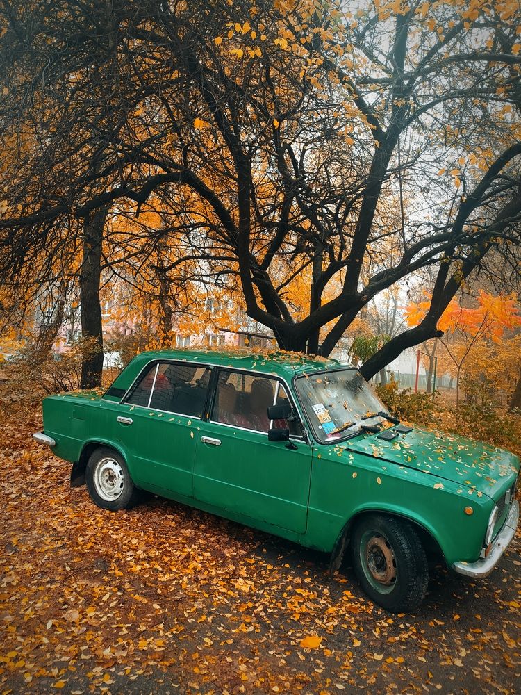 Photograph by Ирина Половцева