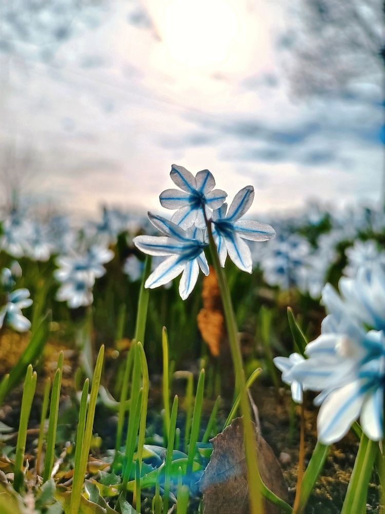 Photograph by Марина Хохрякова