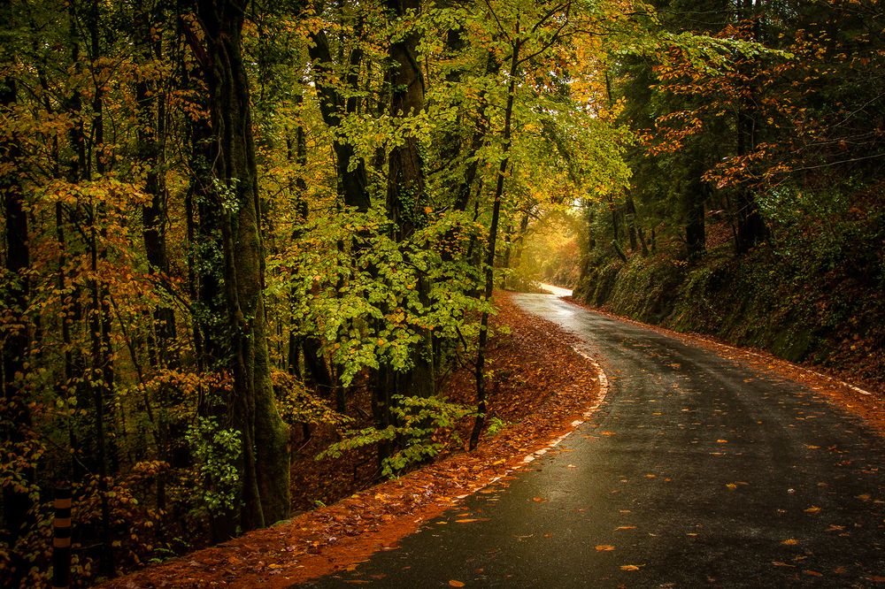 Photograph by Vasco Morais