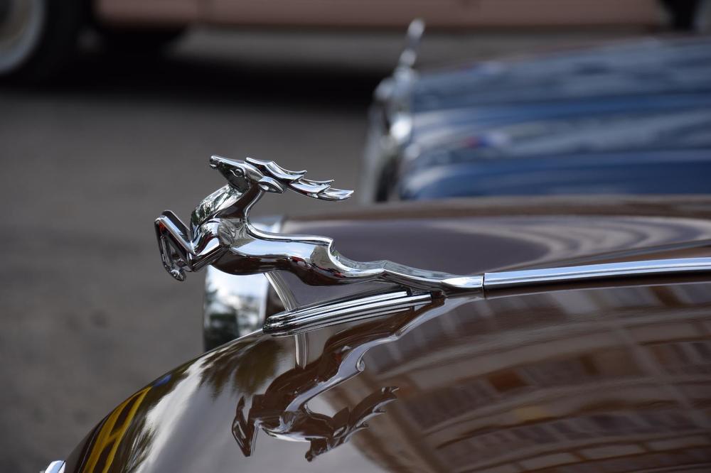 Photograph by Марина Корреа Ластра