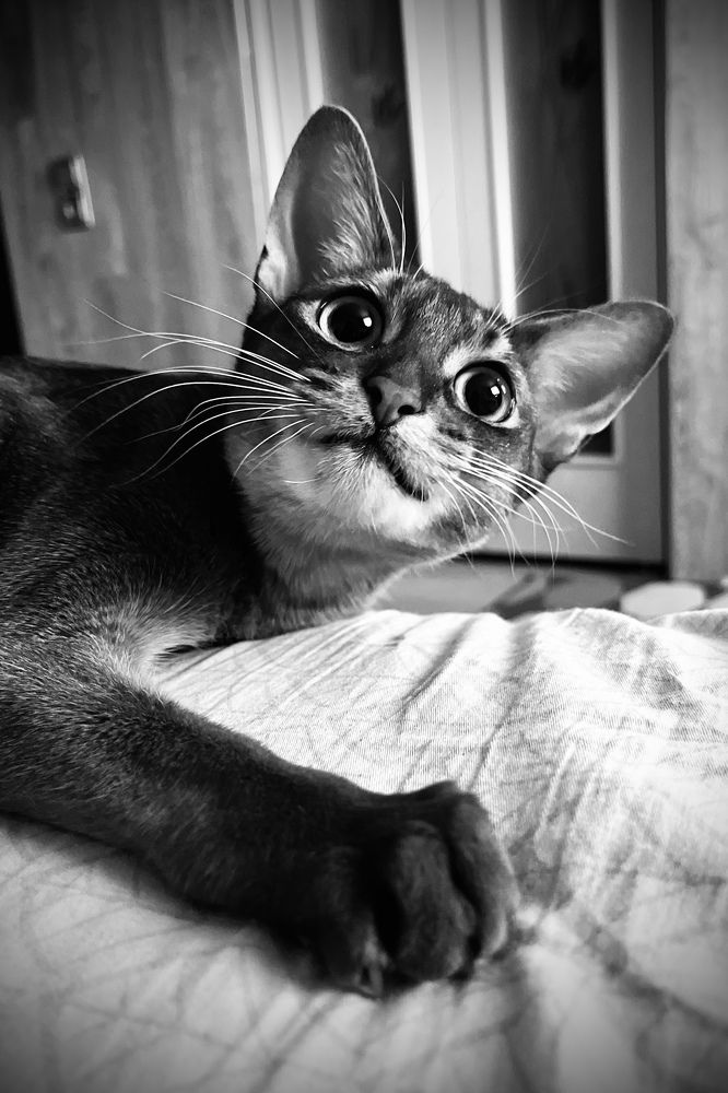 Photograph by Ekaterina Chernyshova