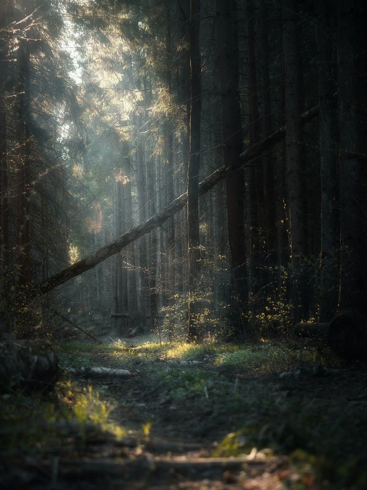 Photograph by Мозжухин Максим