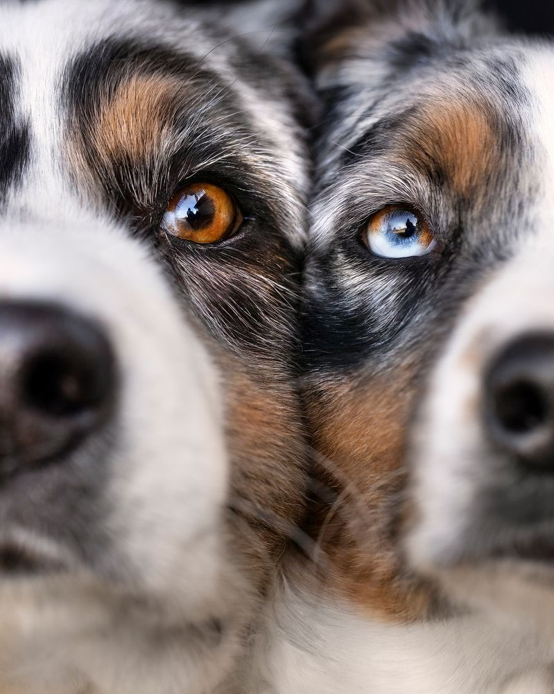 Photograph by Alessia Monaco