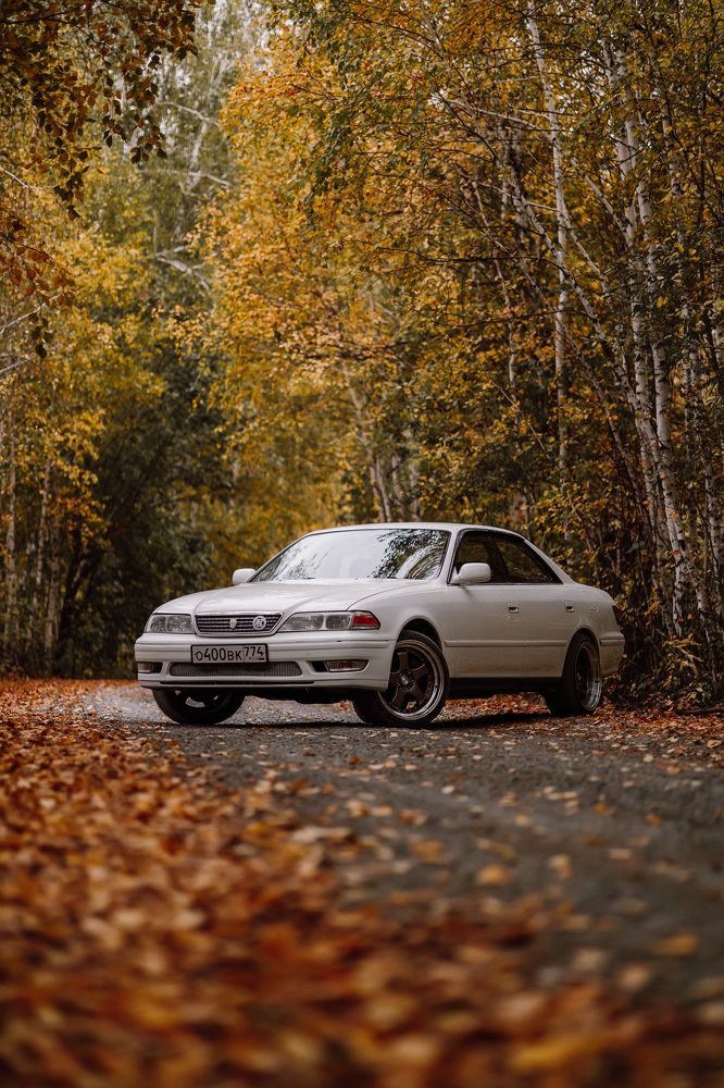 Photograph by Татьяна Скорина