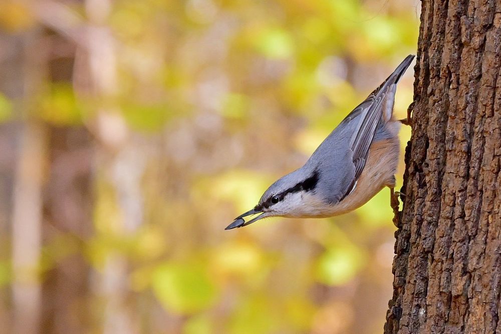 Photograph by Корнейчук Игорь