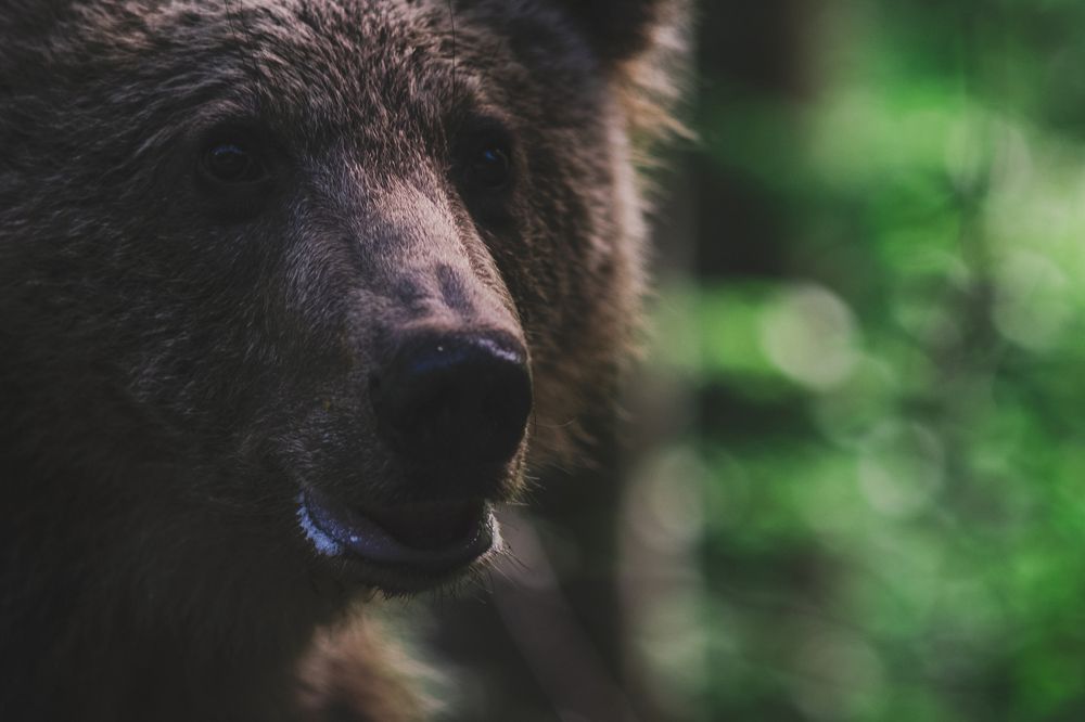 Photograph by Madalin Giurgescu