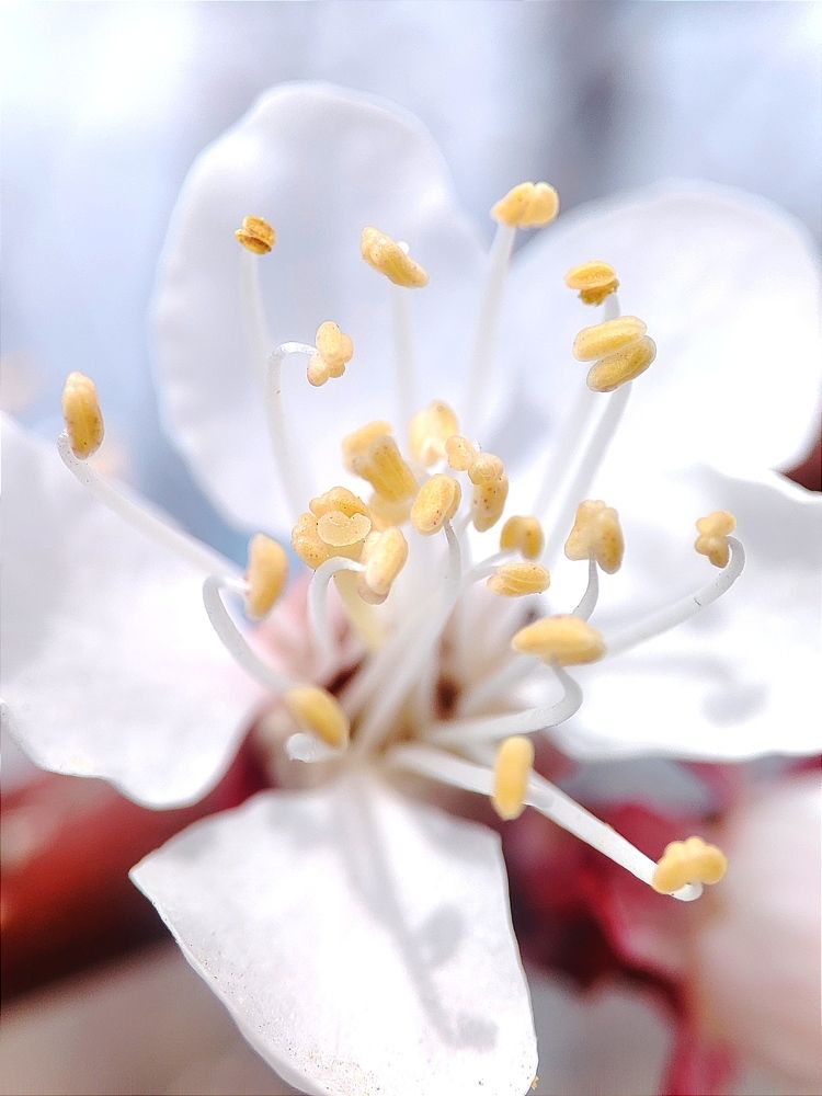 Photograph by Юлия Гинтер