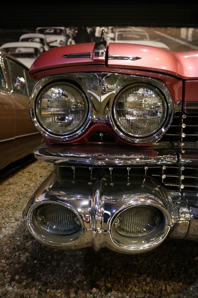 Photograph by Светлана Шуткова