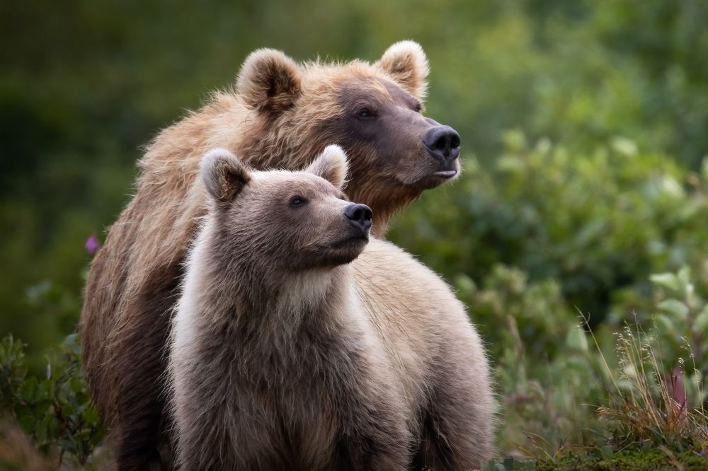 Photograph by Rylee Jensen