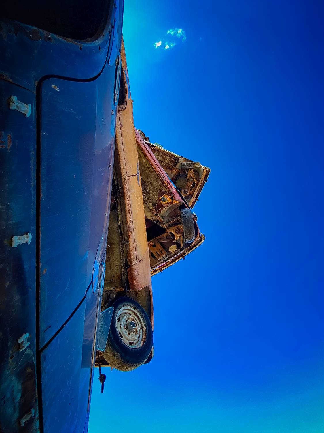 Optimus