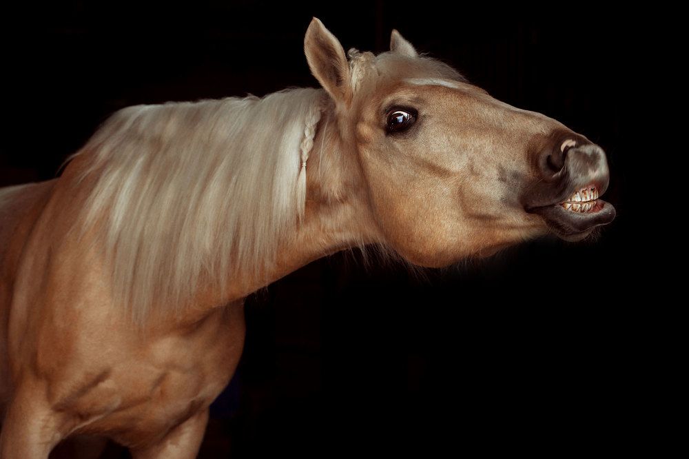 Photograph by Похабова Любовь