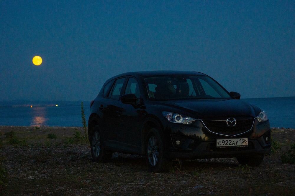 Фотография автора Тамара Нижельская