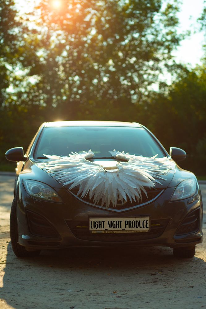 Фотография автора Тамара Нижельская