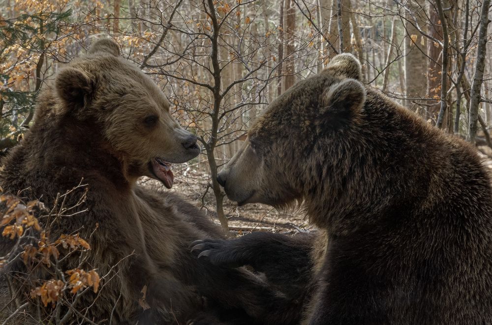 Photograph by Taтьяна Войлокова