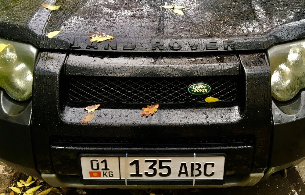 Photograph by Елена Ким