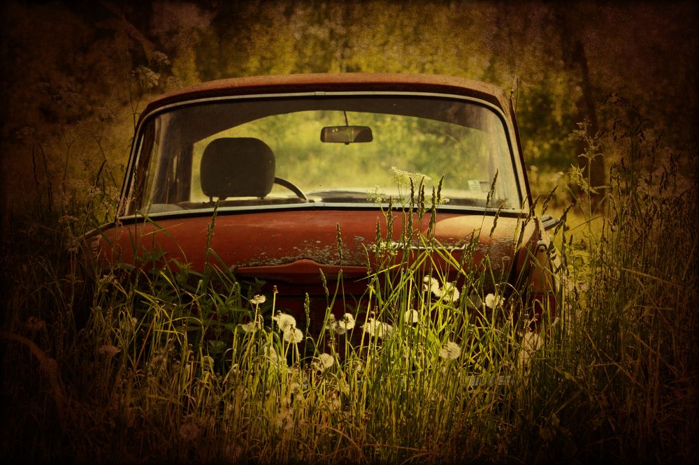 Photograph by Olga Strogonova