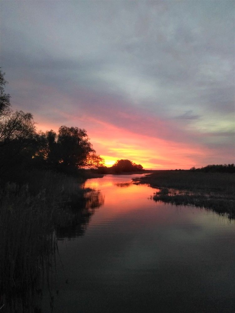 Photograph by SAFRON