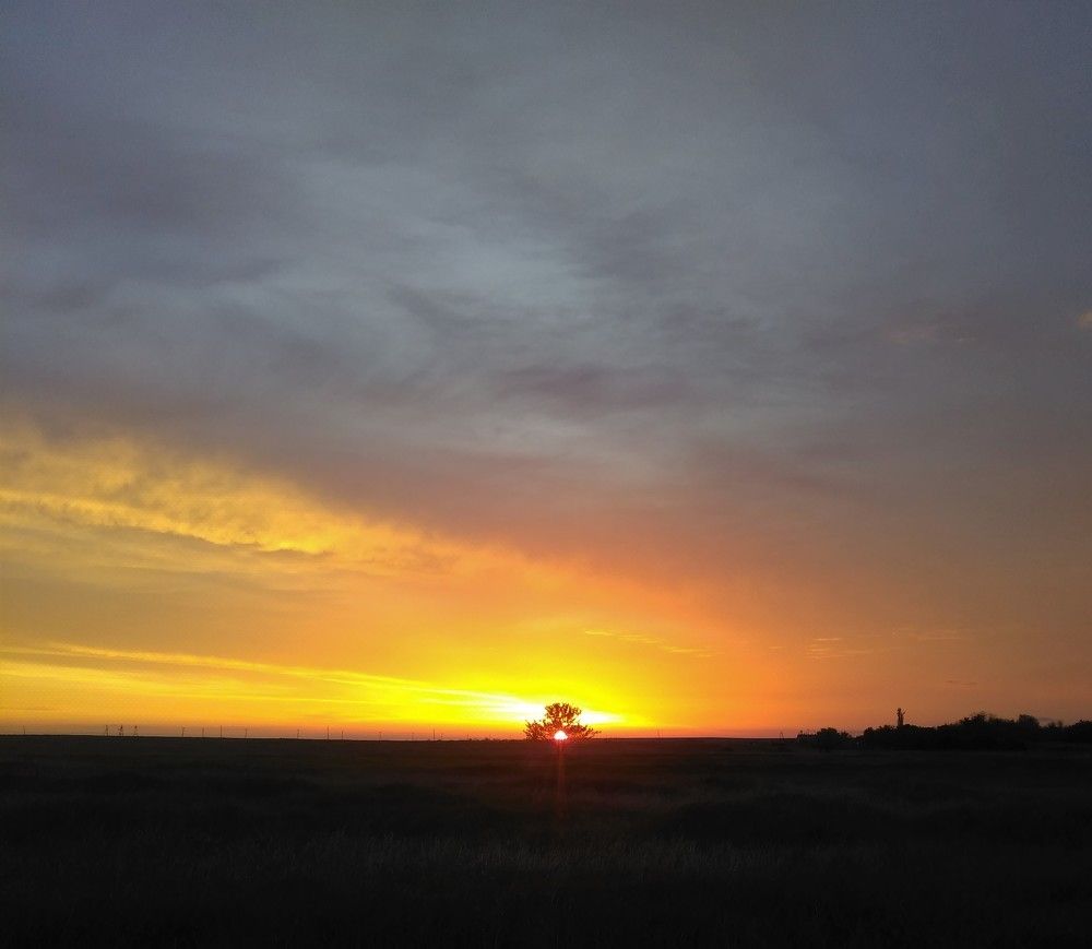 Photograph by SAFRON