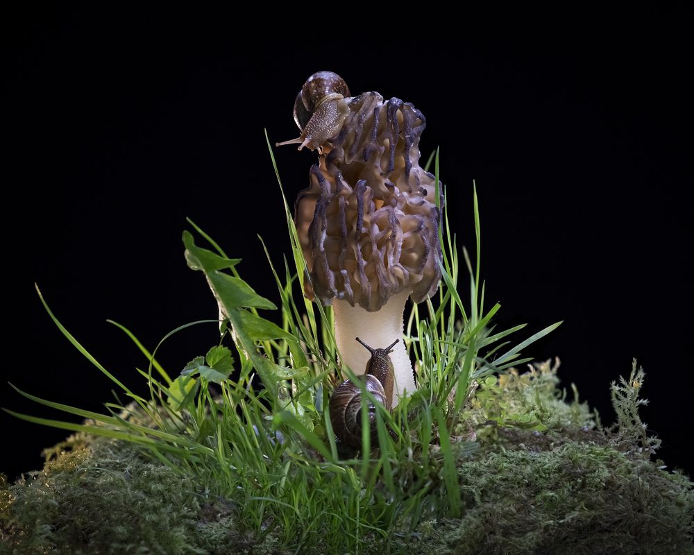 Фотография автора Черновол Валентин