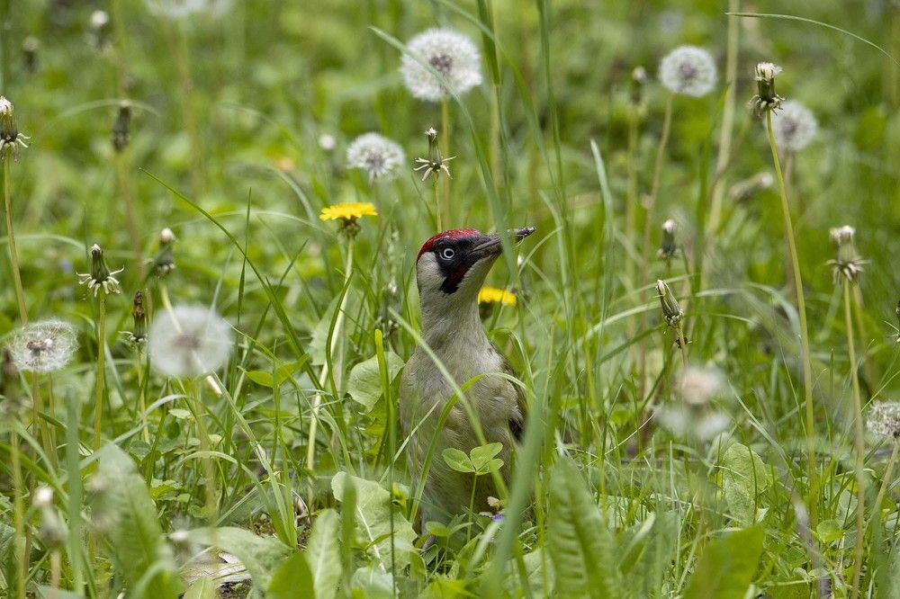 Photograph by Evgeniy Fedorov