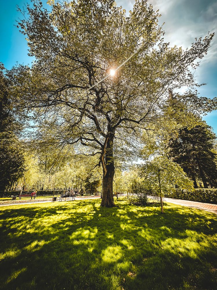 Photograph by  Ирина