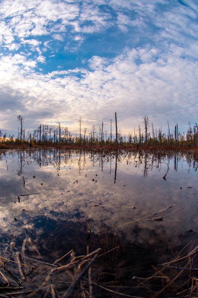 Photograph by Алексей Ильин