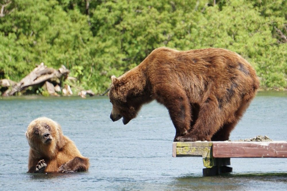 Photograph by Elena Poddubnaja