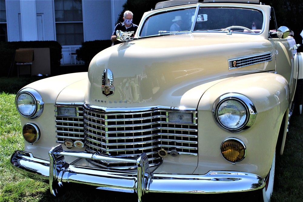 Photograph by Carol Taylor