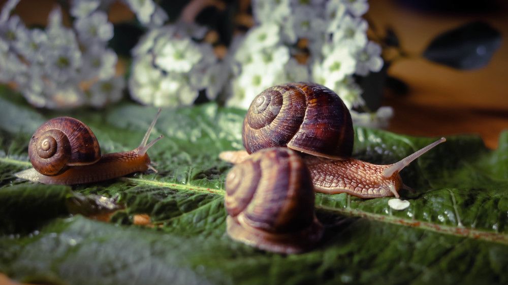 Photograph by Галина Литвинова