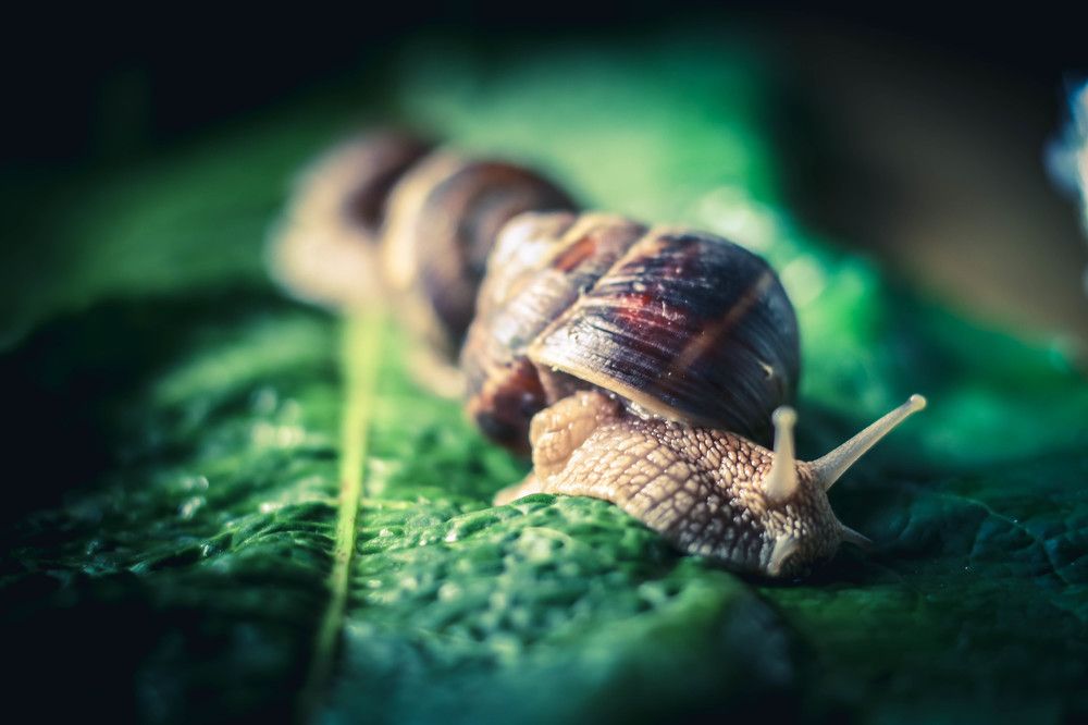 Photograph by Галина Литвинова