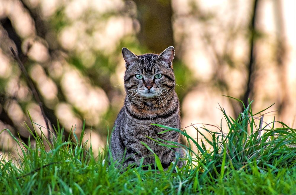 Photograph by Алексей Сиваков